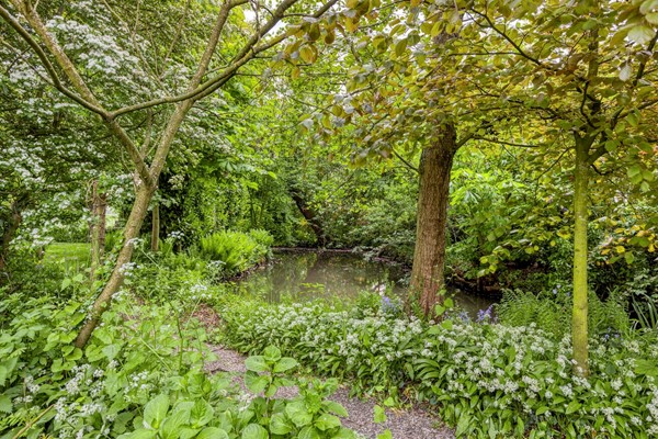 Medium property photo - Duifpolder 2A, 3155 CA Maasland